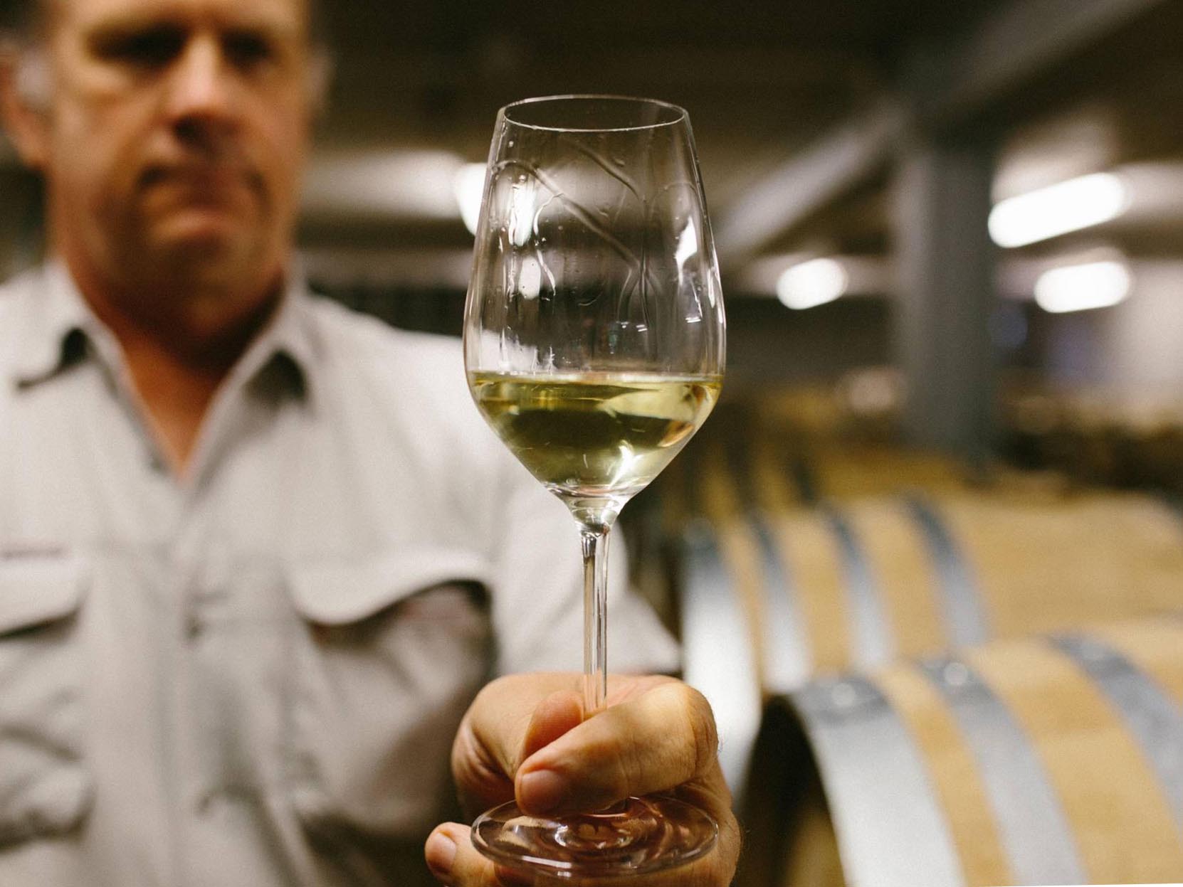 nz-mbrajkovich-master-of-wine