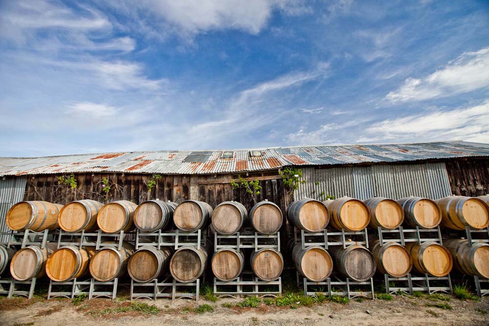 nz-chardonnay-nelson