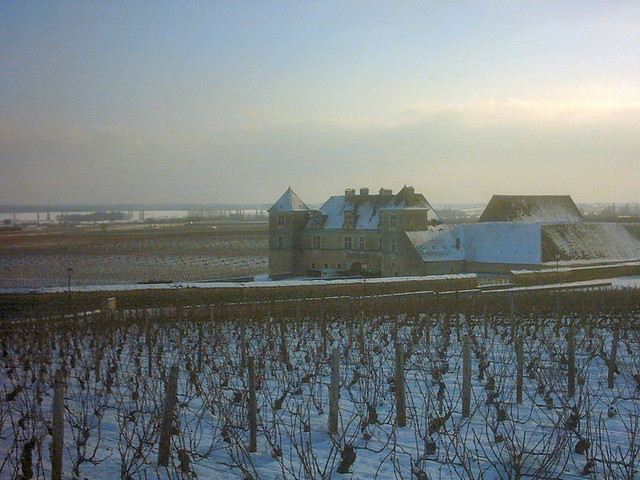 clos vougeot winter burgundy pinot noir cistertian abbey A view of Clos Vougeot built in the 1300s surrounded by pinot noir vineyards