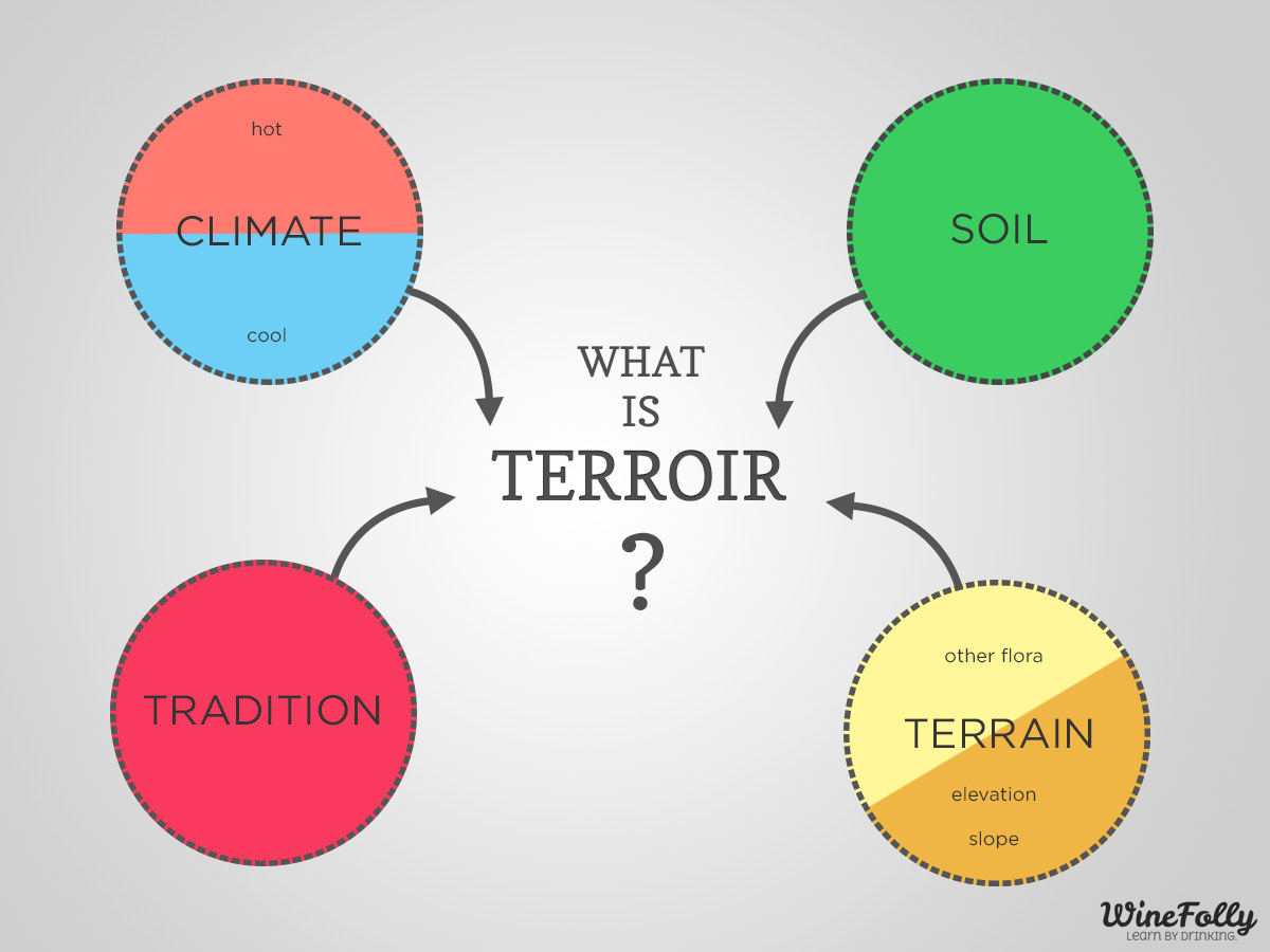 terroir-definition-for-wine