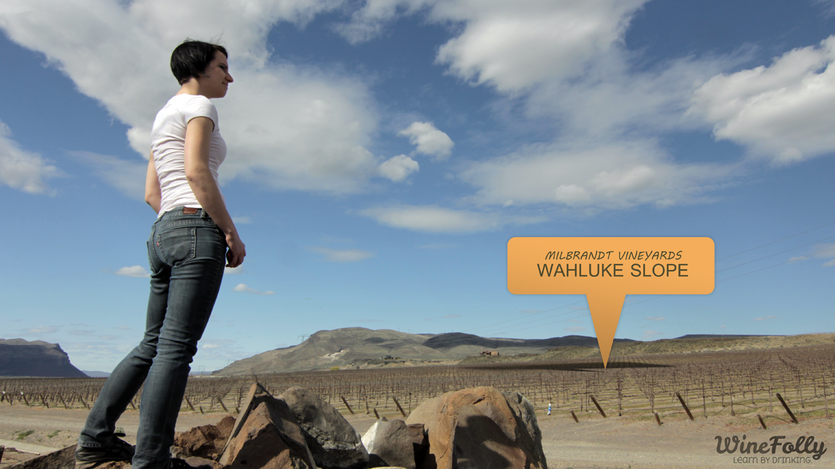 Wahluke Slope Washington Vineyards Milbrandt with Madeline Puckette