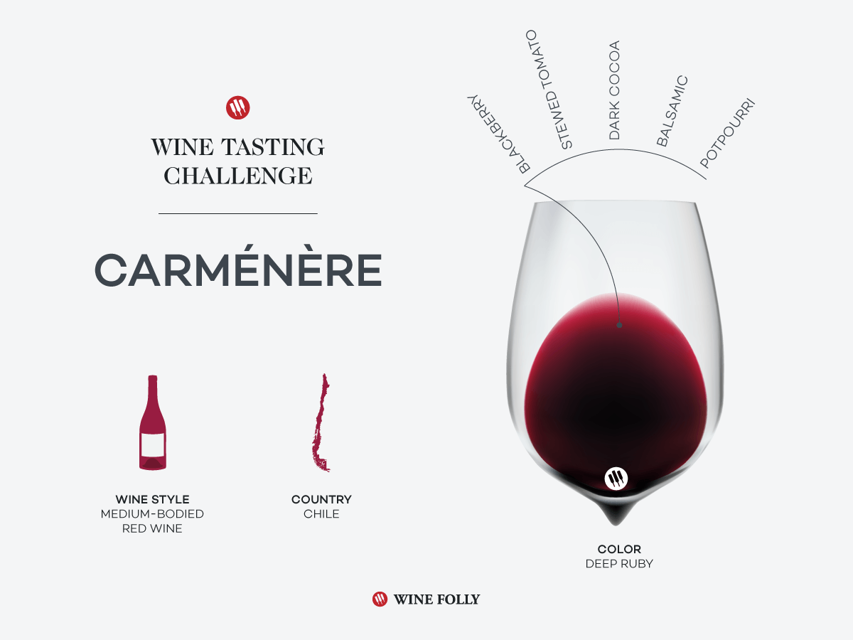 wine-tasting-challenge-carmenere